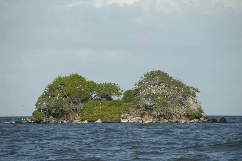 Hotel San Juan Ometepe Altagracia Exteriér fotografie